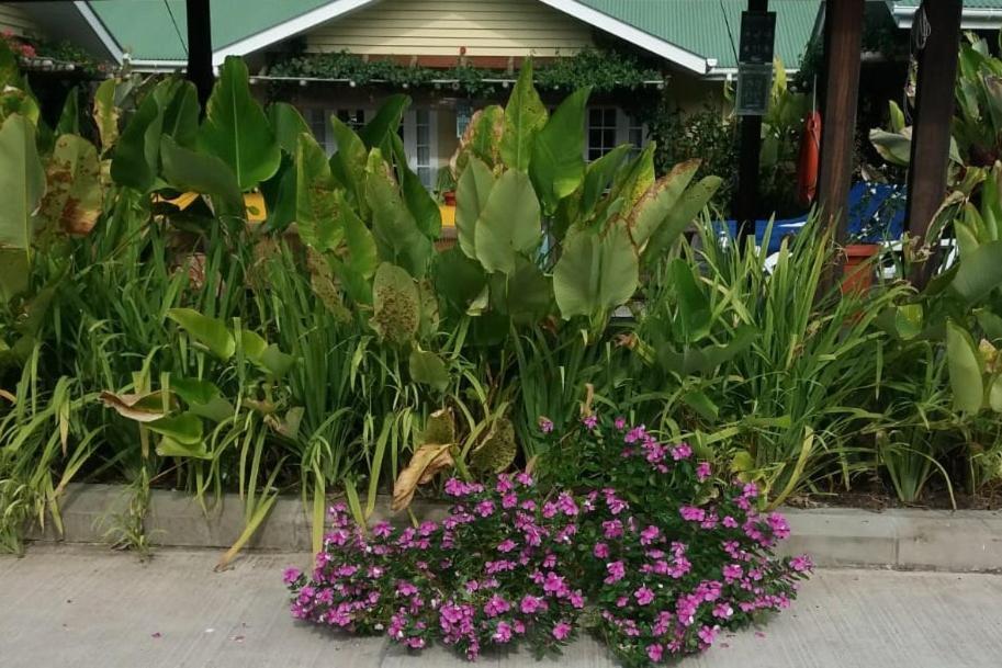 Apartment Praslinoise Grand Anse (Praslin)